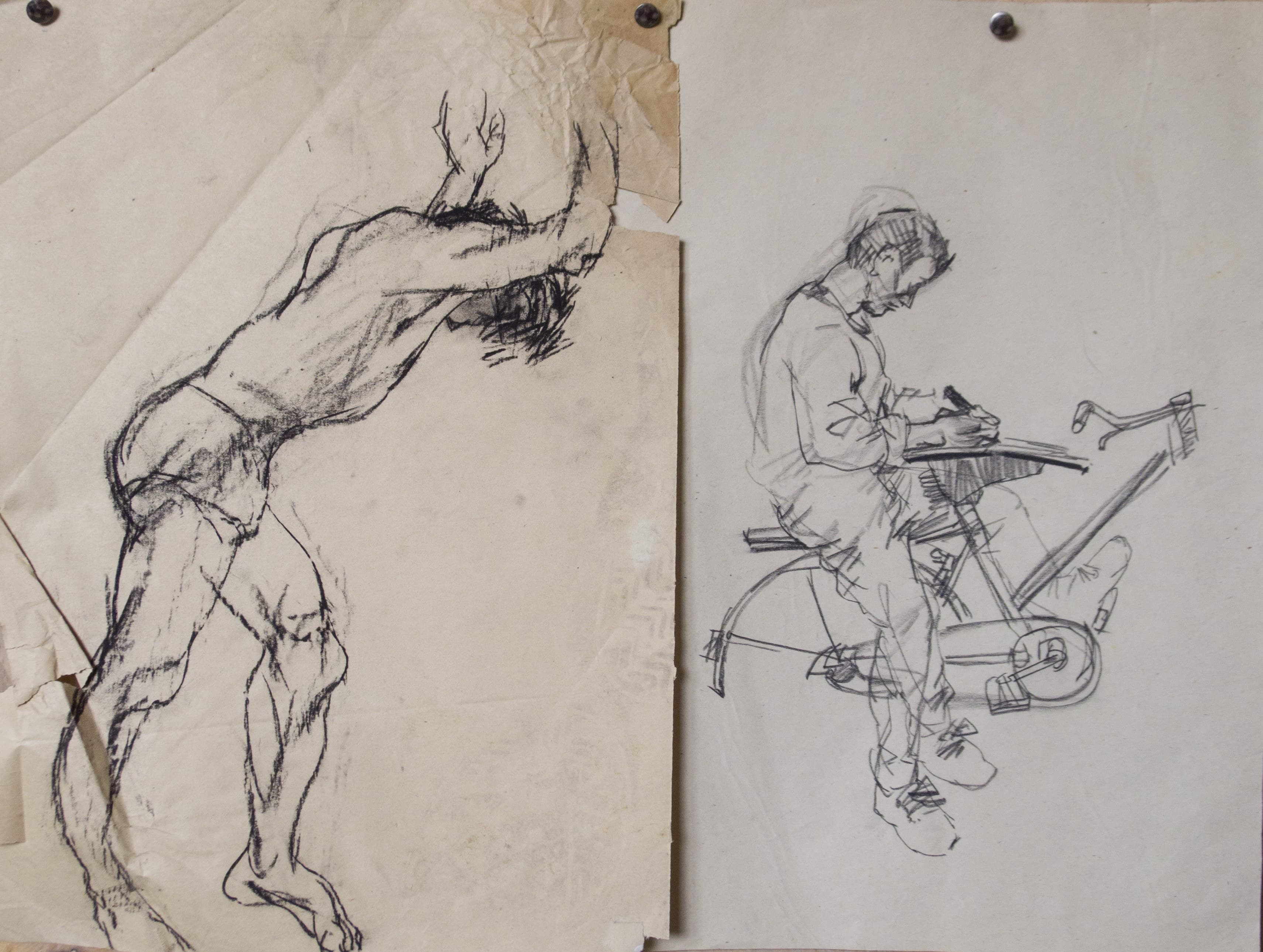 Sketch Champion