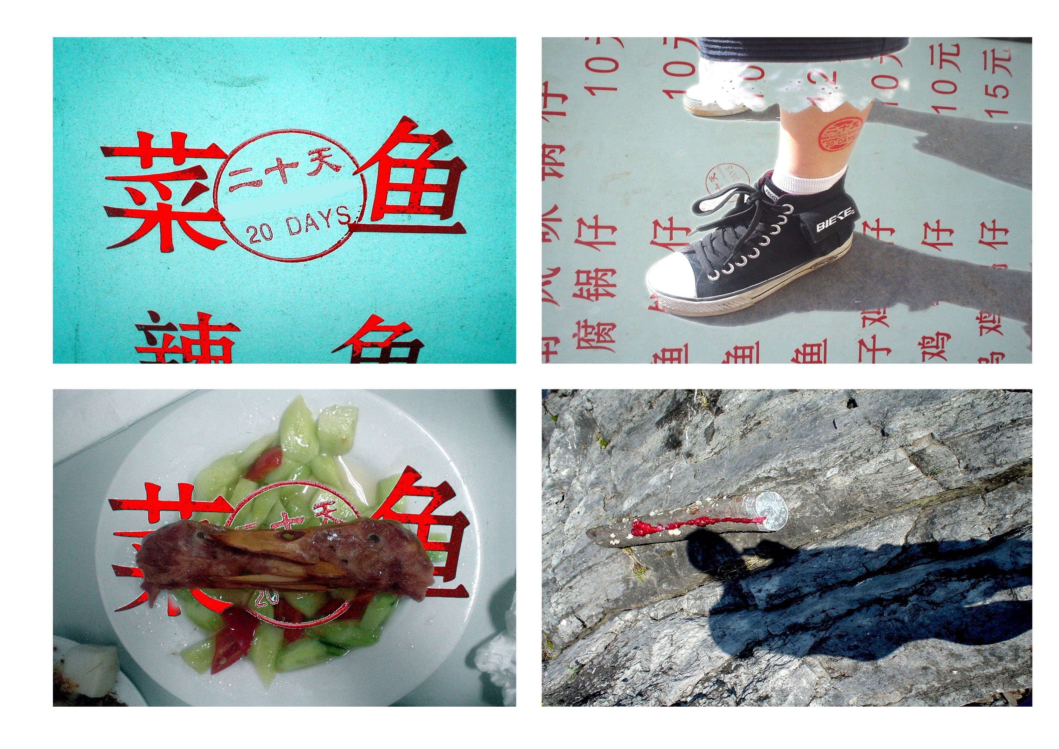 20 Days · China
