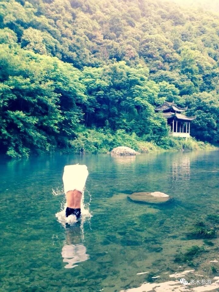 Conceptual Landscape