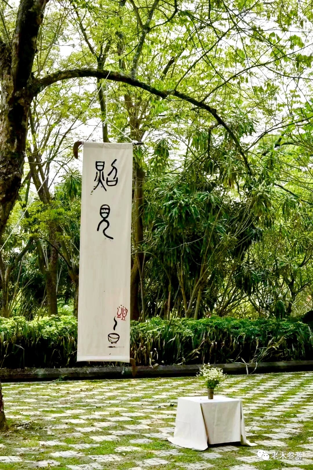 照见·雅集