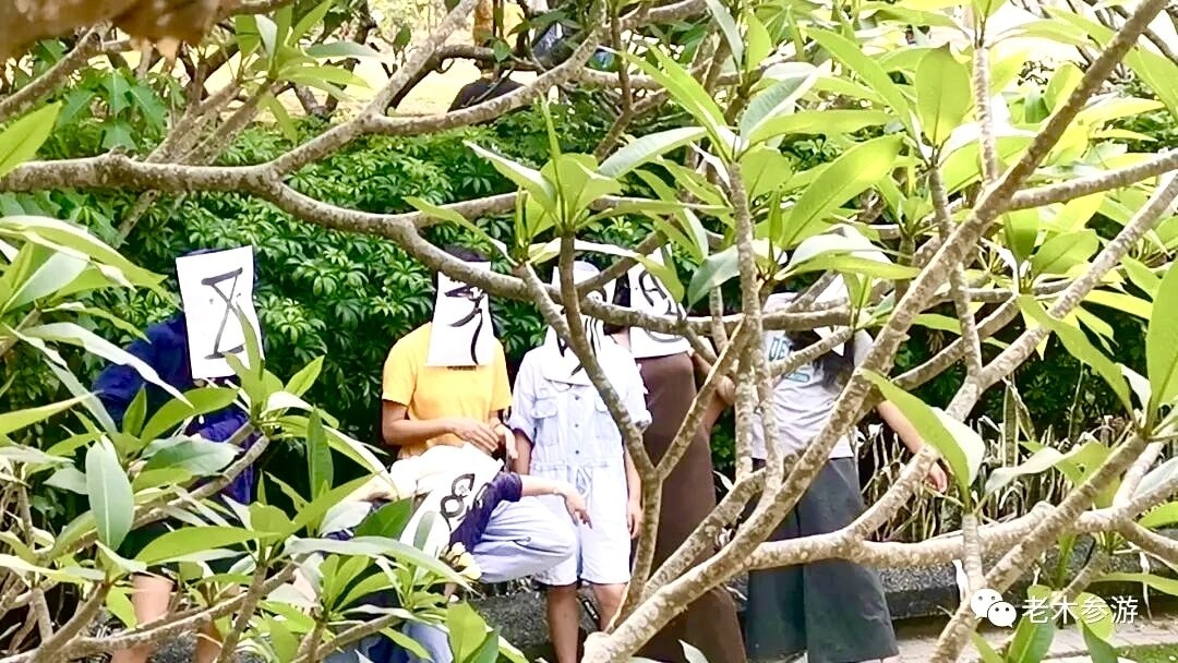照见·雅集
