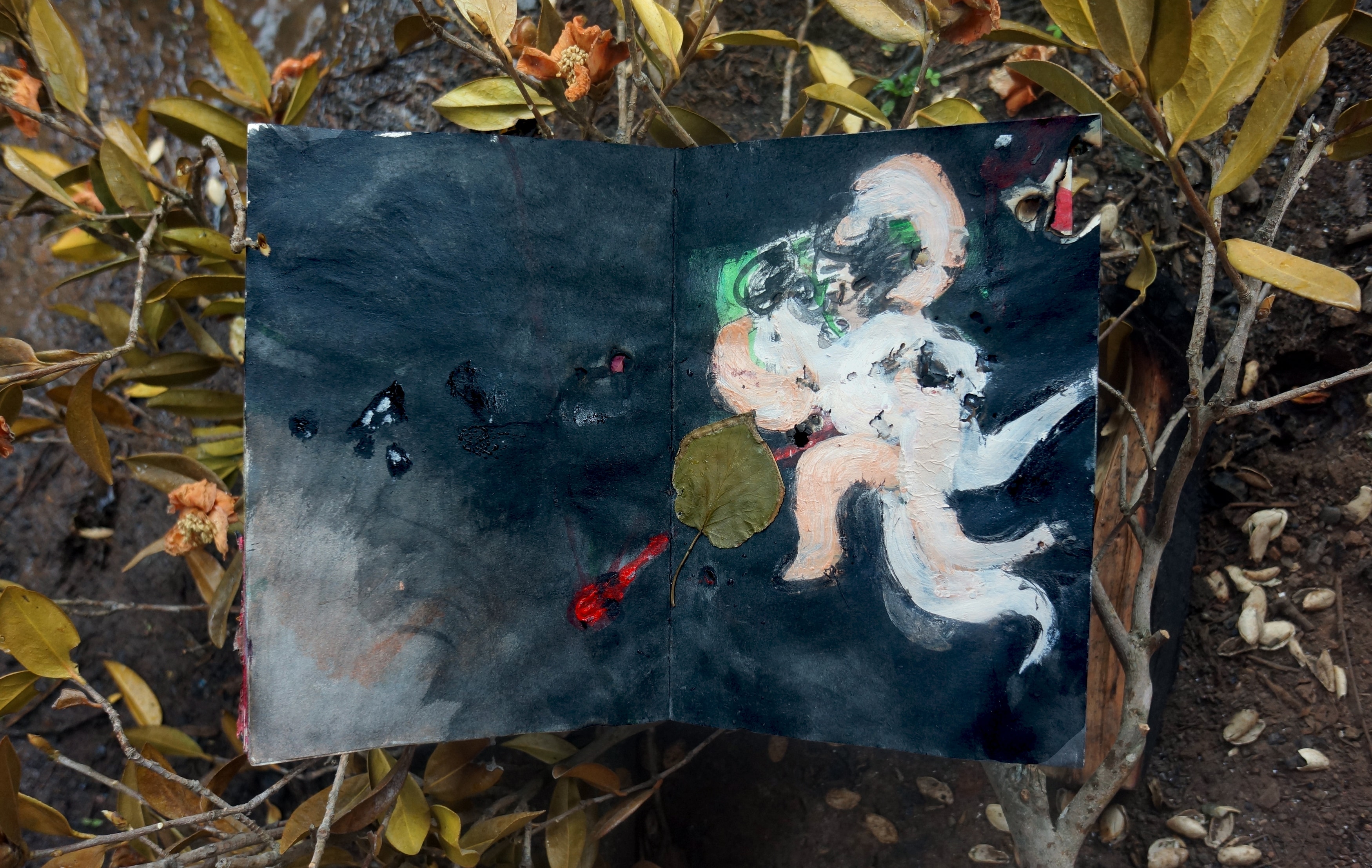 In Search of a Soul Mate — Autumn