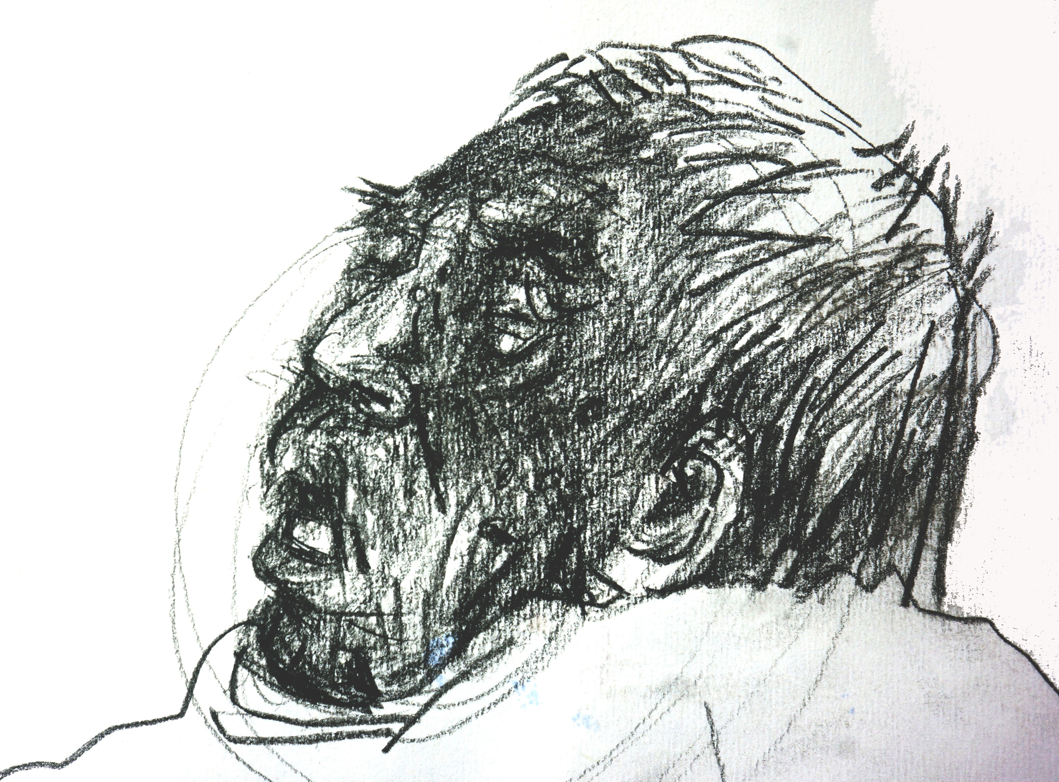 人间天堂 · 丽江