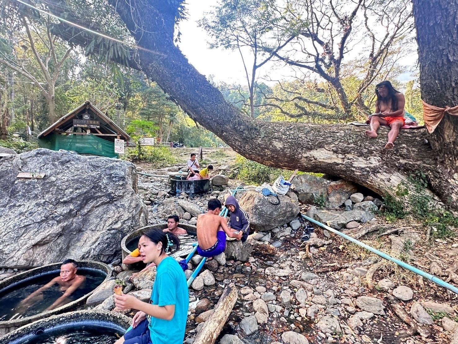 Human Paradise · Shambhala